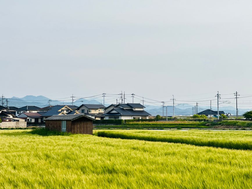 潟上市の土地価格【2026年】相場と地価の今