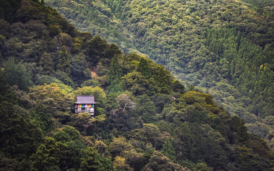 にかほ市の住みよさランキング徹底解説【2026年】