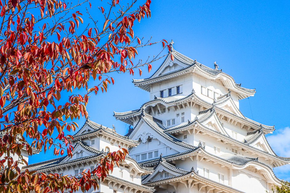 仙北市へ新幹線で移住する【2026年】支援制度の実態